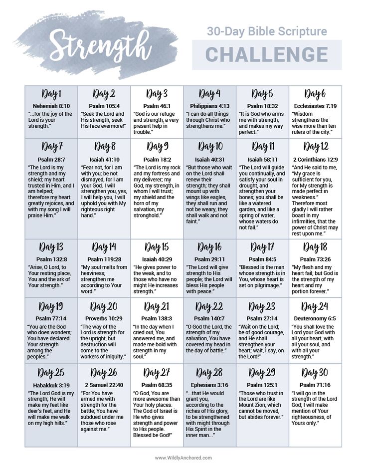 the 30 - day bible schedule for strength challenge, which is filled with daily activities