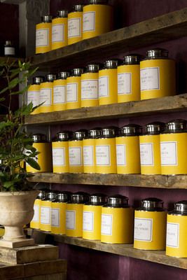 many yellow jars are lined up on the wall in front of a potted plant