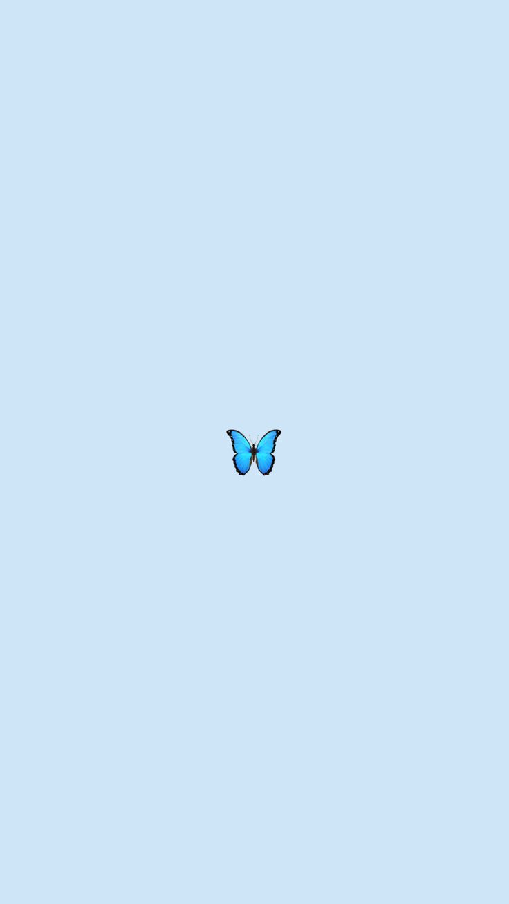 a blue butterfly flying in the sky