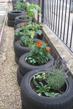 several tires are lined up along the side of a building with plants growing in them