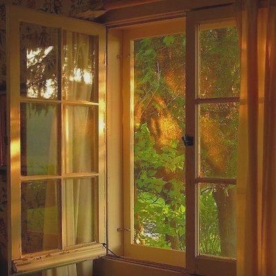 an open window with sunlight coming through it and trees outside the window in the background