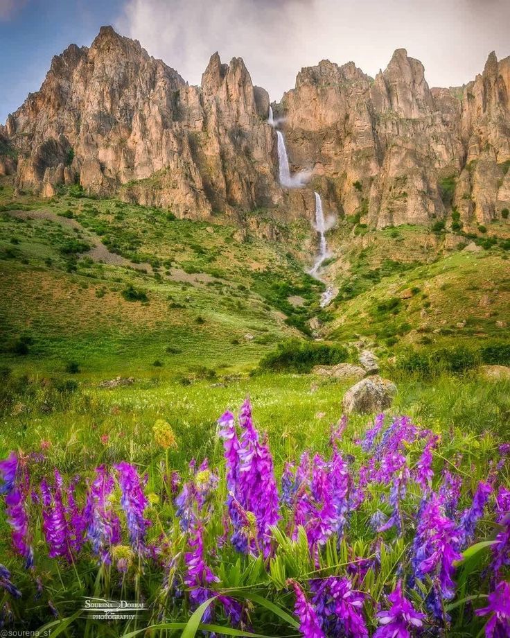 purple flowers are in the foreground and a waterfall is in the background with green grass