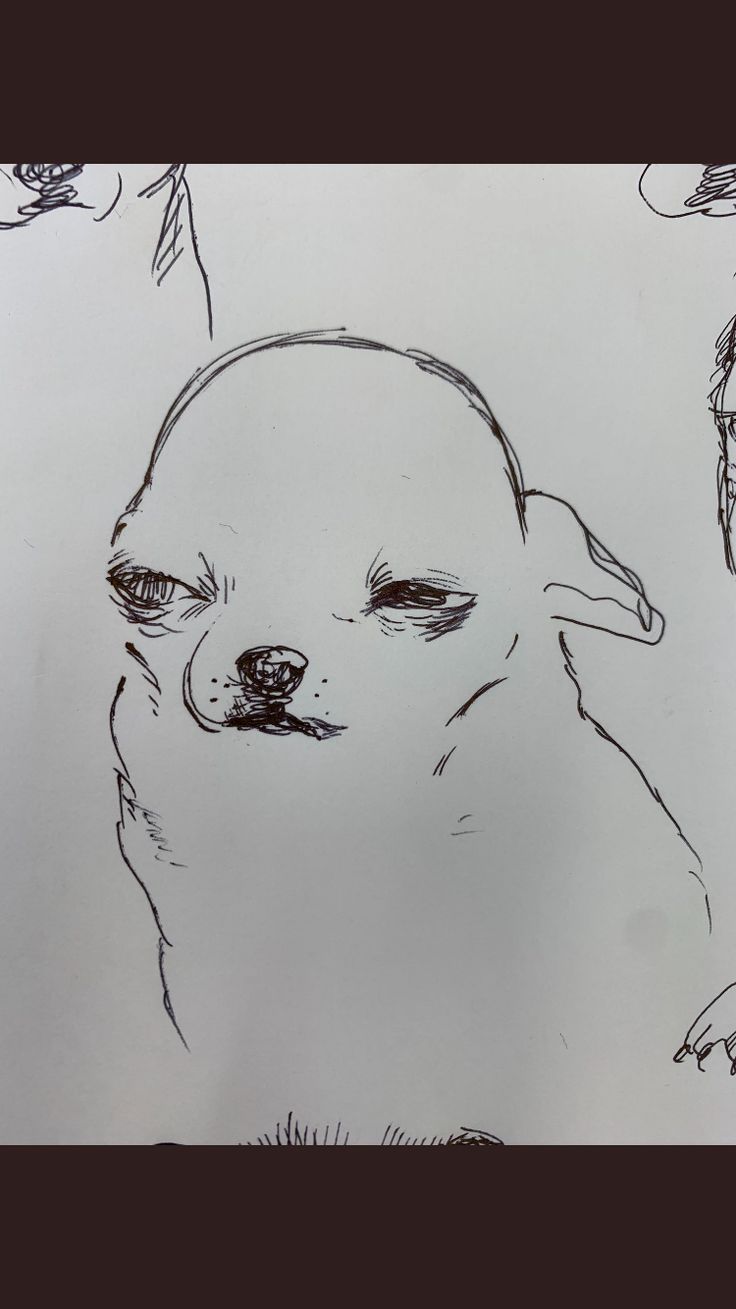 a drawing of a dog's head and nose