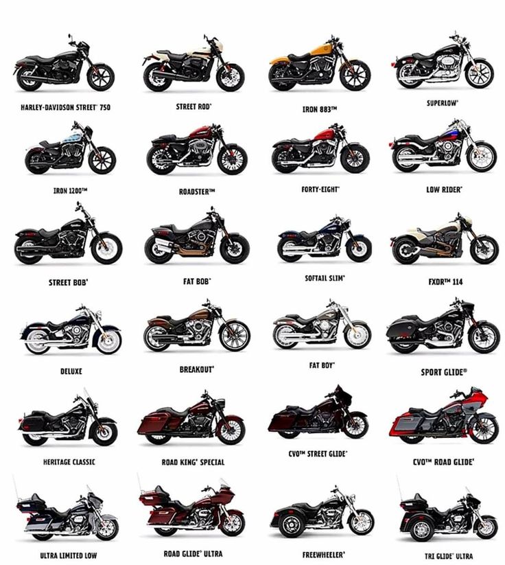 an image of different types of motorcycles