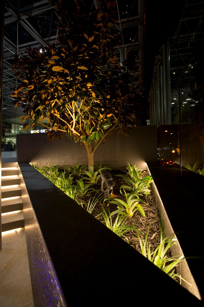 a tree is lit up in the middle of a building with stairs leading up to it