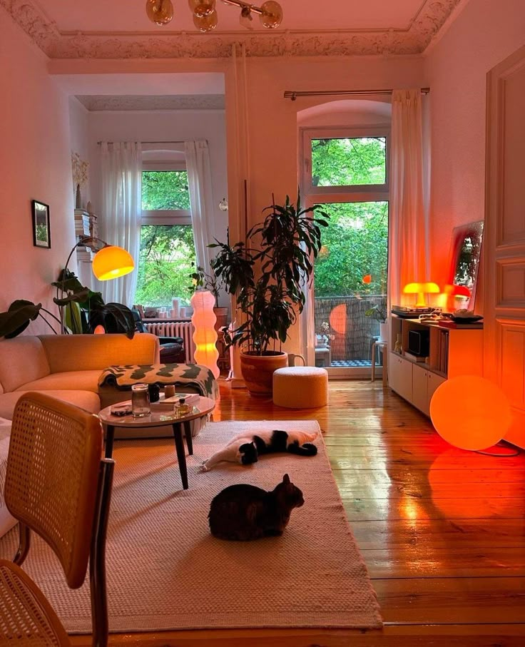 a living room filled with furniture and a cat laying on top of a rug in front of a window