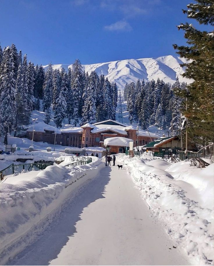 two people walking down a snow covered road in front of a large building and trees