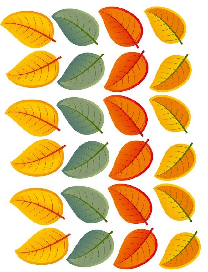 several different colored leaves on a white background