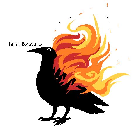 a black bird with orange and red flames on it's head, saying he is burning