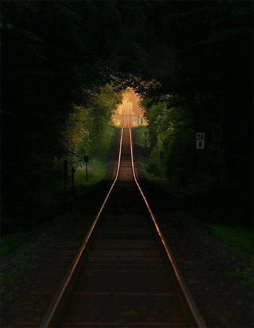 an empty train track at night with the light coming from behind it and trees on either side