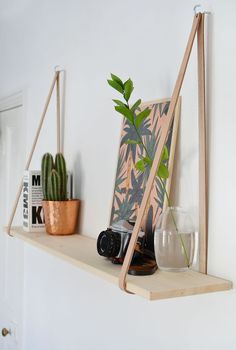 a shelf with some plants and glasses on it