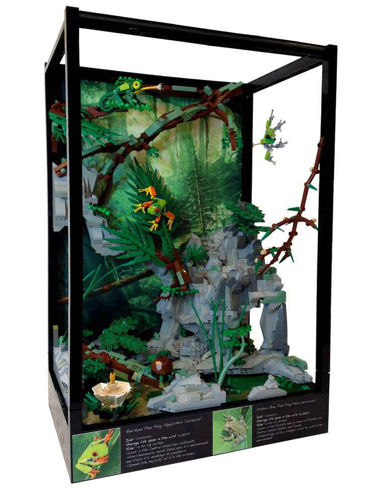 an aquarium with plants, rocks and water inside the glass case is shown on display