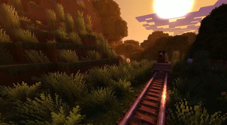 a train traveling through a lush green forest next to a tall tree covered hillside at sunset