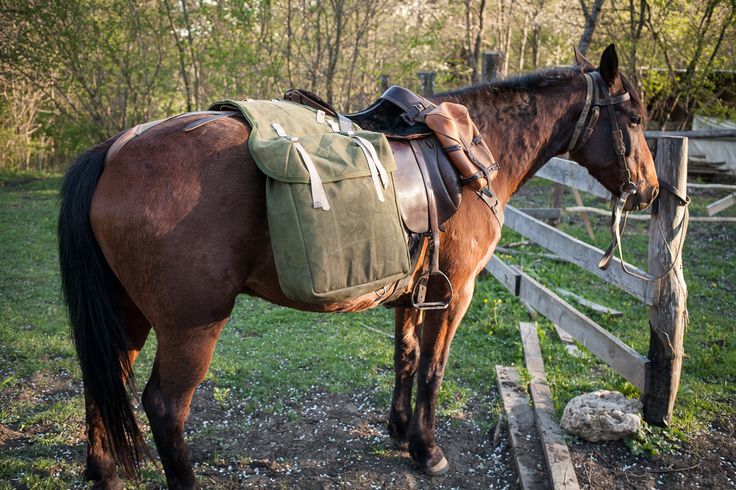 a brown horse standing next to a wooden fence with a green bag on it's back