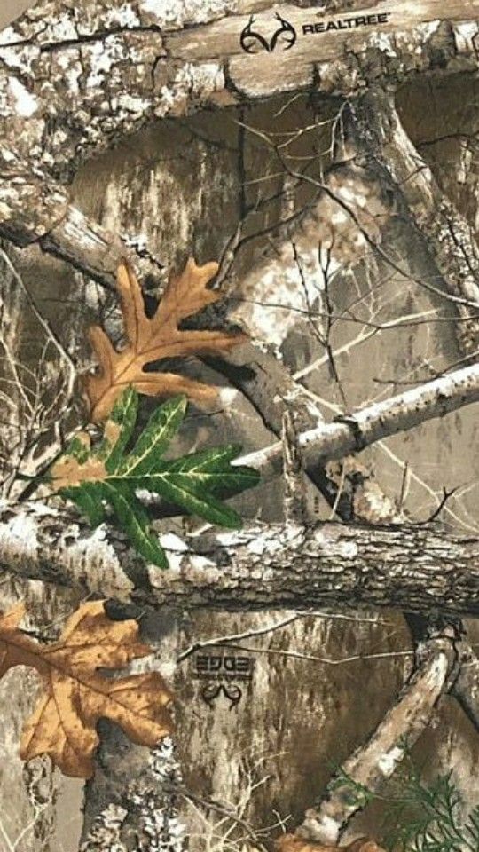 an image of the back side of a camo background with leaves and branches on it