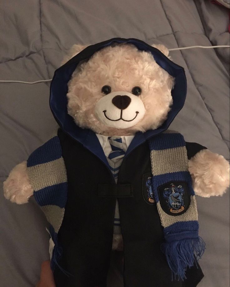 a teddy bear wearing a vest and tie with a hoodie on it's head