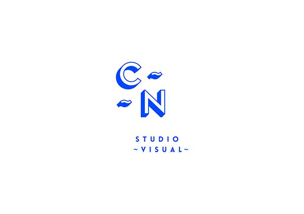 the logo for studio visual, which is designed to look like it has an image of a