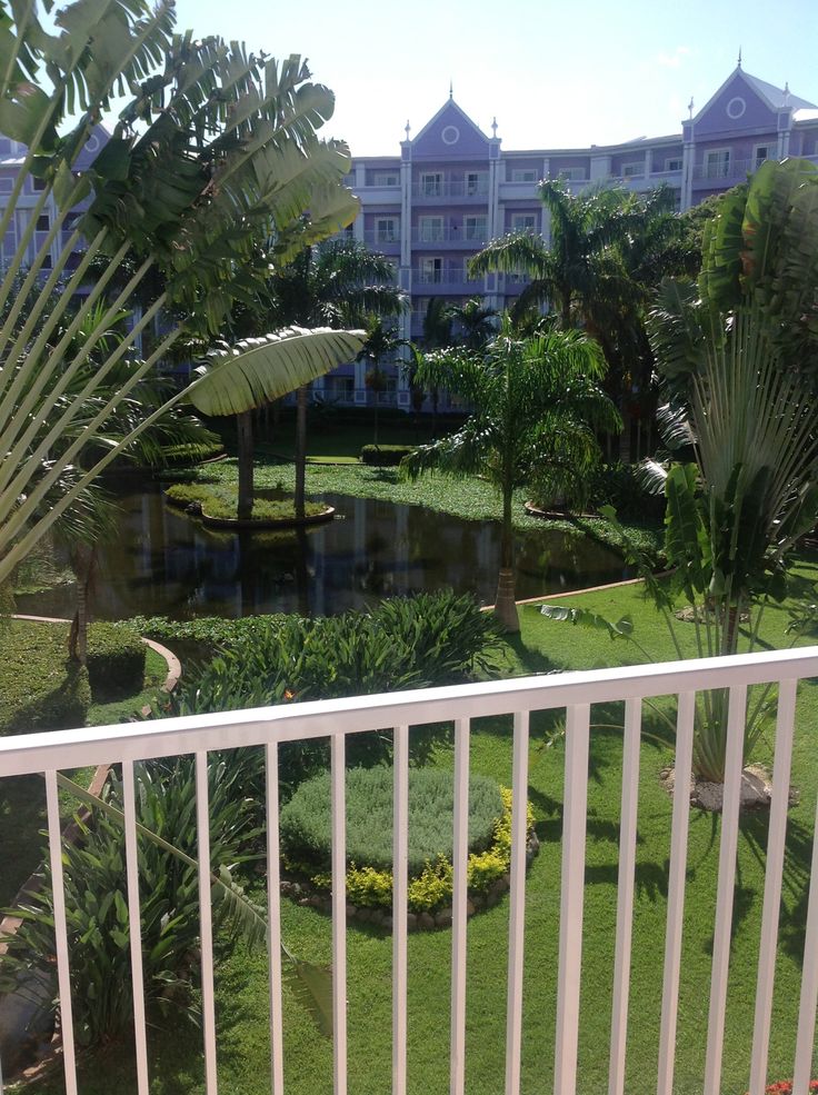 a view of a garden from the balcony of a hotel room at disney's animal kingdom