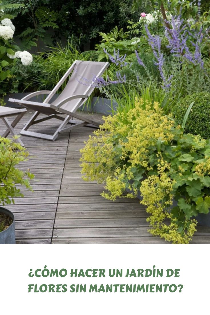 Comment faire un parterre de fleurs sans entretien ? - Côté Maison Paris Landscape, Farmhouse Backyard, Alchemilla Mollis, Lady's Mantle, Design Landscape, Rooftop Garden, Deck Garden, Raised Bed, Nature Garden