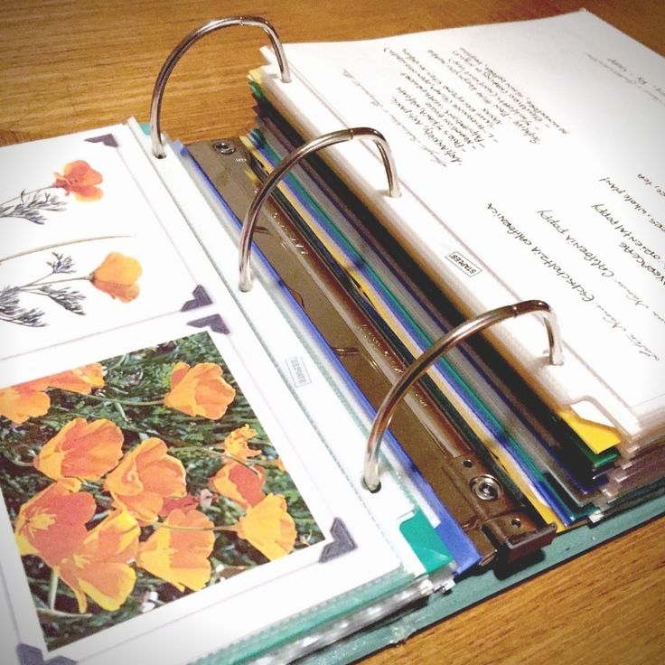 an open binder on top of a wooden table