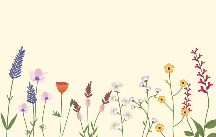 an image of flowers and plants on a beige background