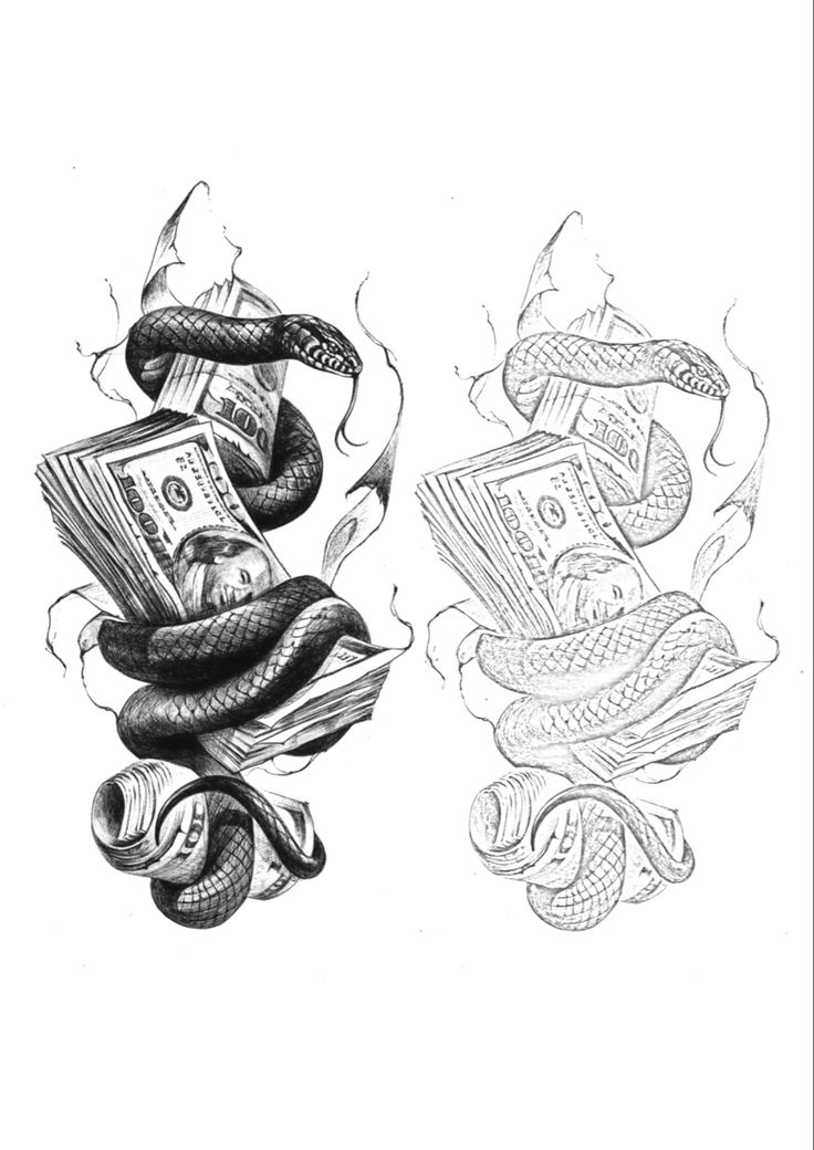 a drawing of money and snake wrapped around it