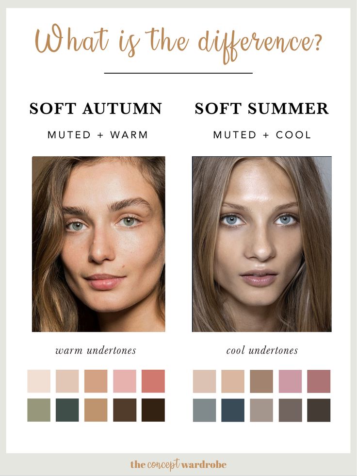 The Concept Wardrobe, Concept Wardrobe, Soft Autumn Palette, Autumn Skin, Soft Autumn Color Palette, Soft Summer Palette, Soft Summer Color Palette, Summer Eyes, Soft Summer Colors