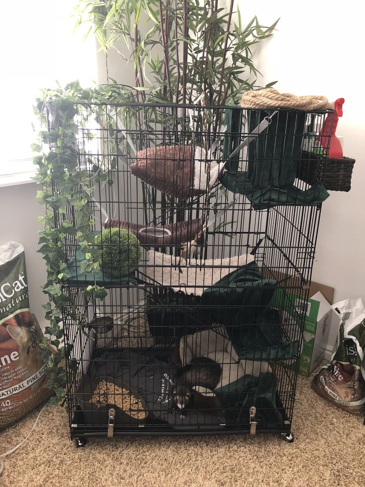 a cage filled with lots of different types of plants and food in front of a window