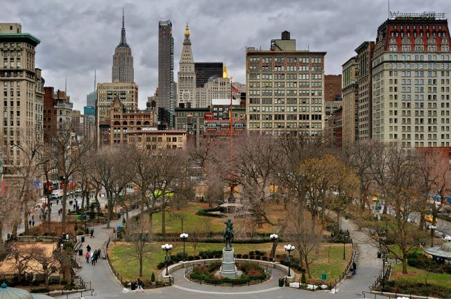 a city park with lots of trees and buildings in the background