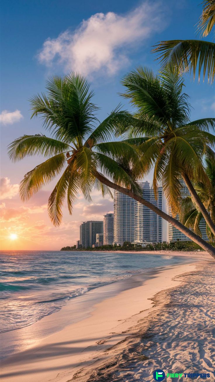 palm trees on the beach with buildings in the background at sunset, miami cityscape