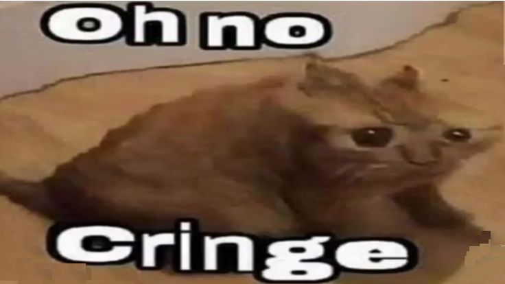 a cat is sitting on the floor and looking at the camera with caption that says oh no cringe