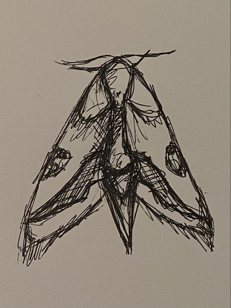 a black and white drawing of a moth