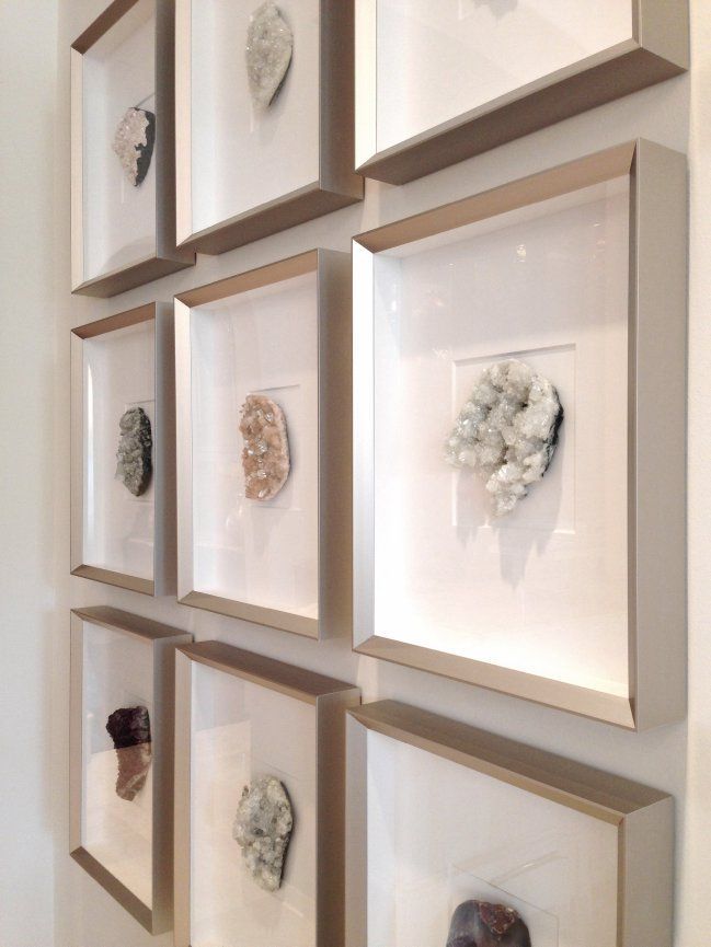 several framed pictures are hanging on the wall with shells and seashells in them