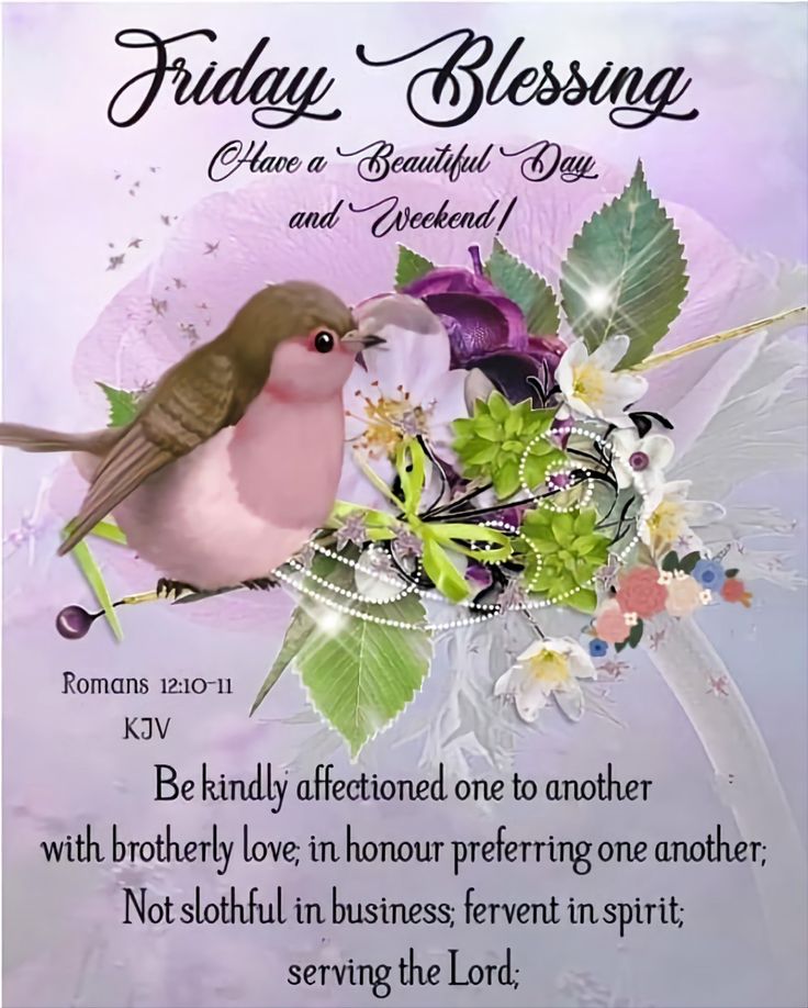 a pink bird with green leaves and flowers on it's back is the words friday blessing