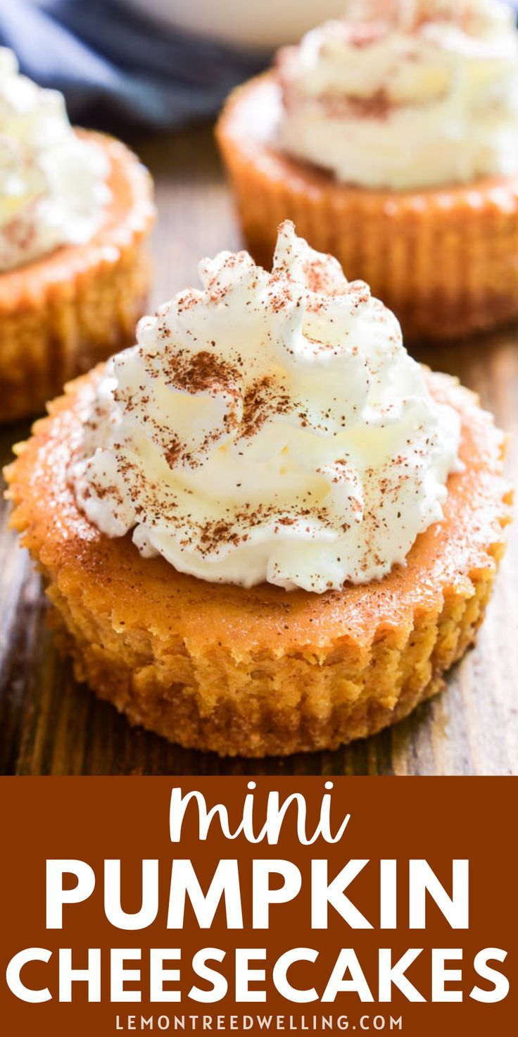 pumpkin cheesecakes with whipped cream on top and the title overlay reads muffin tin mini pumpkin cheesecakes