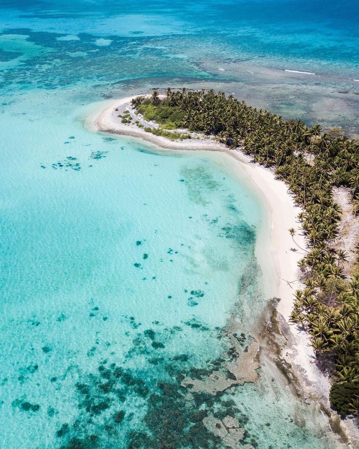 an island in the middle of some water with palm trees on one side and white sand on the other