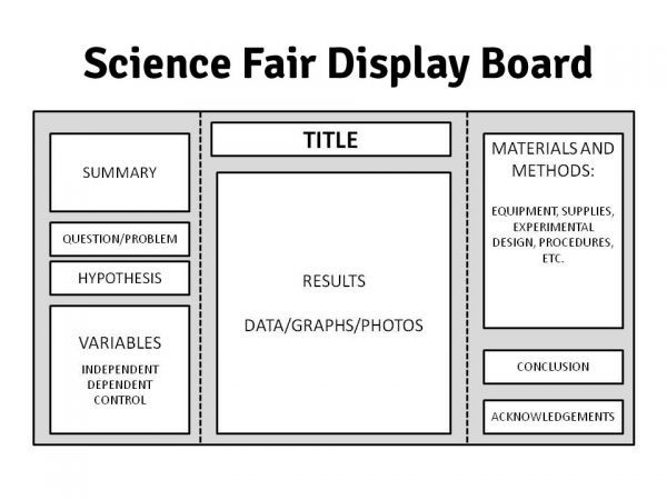 the science fair project guidelines are shown in black and white, with text on it