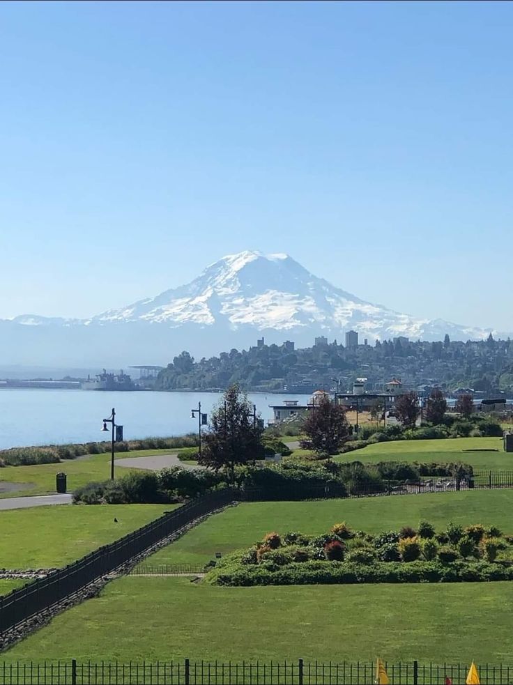 a view of a large mountain in the distance from a grassy area with trees and bushes