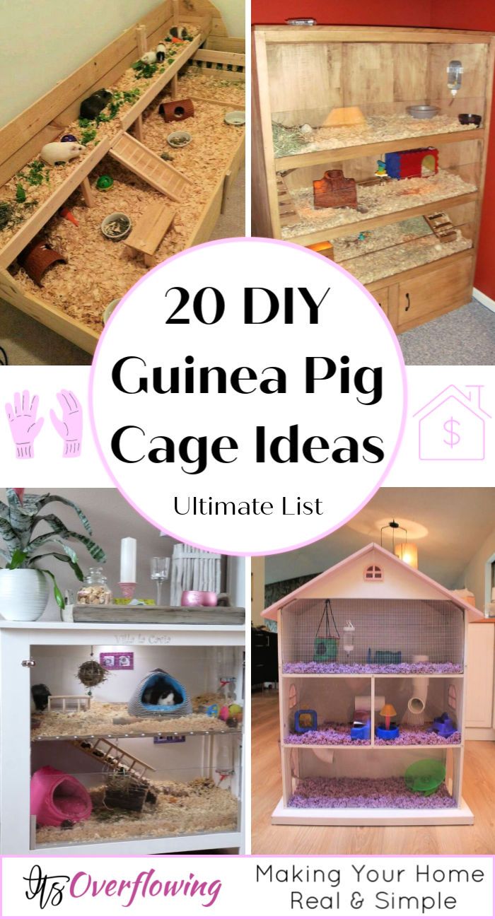 the ultimate guide to making your own guinea pig cage ideas for kids and grown - ups