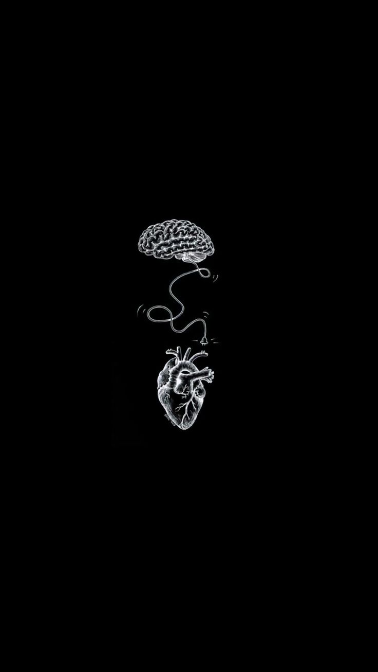 an image of the human heart and brain on a black background with copy - space