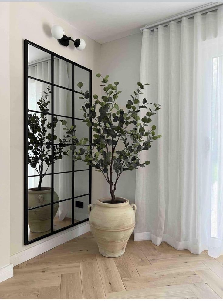 a potted plant in front of a mirror on the floor next to a window