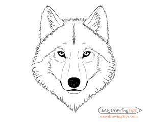 the outline of a wolf's head is shown