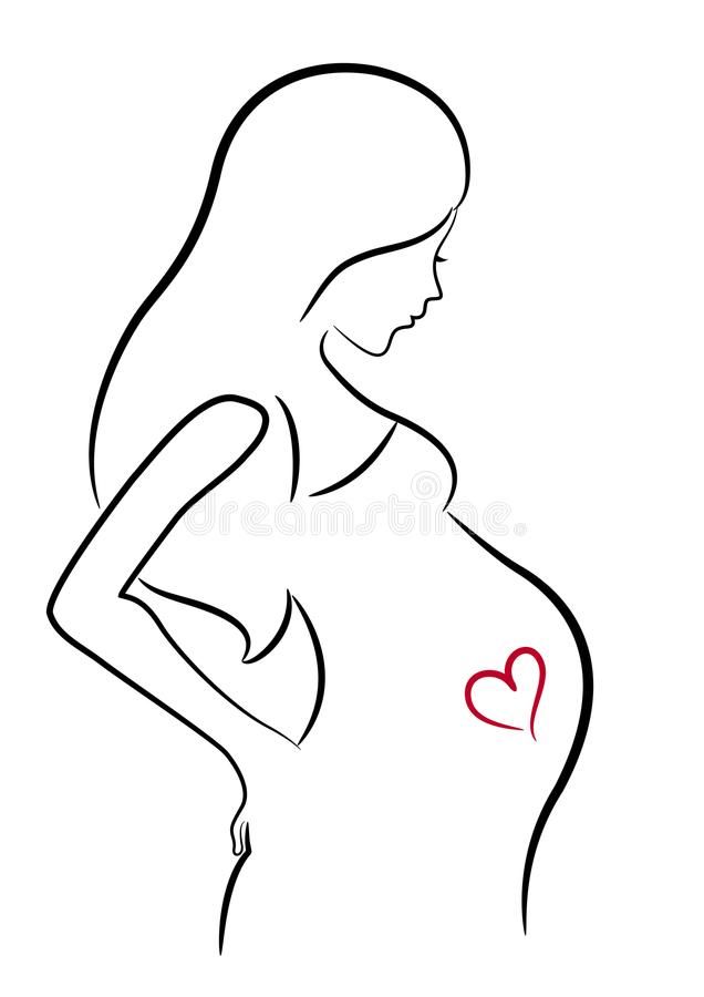 a pregnant woman with a heart in her stomach royalty illustration on white background stock photo