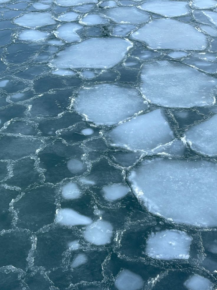 ice floes floating on the surface of water with small chunks of ice in it