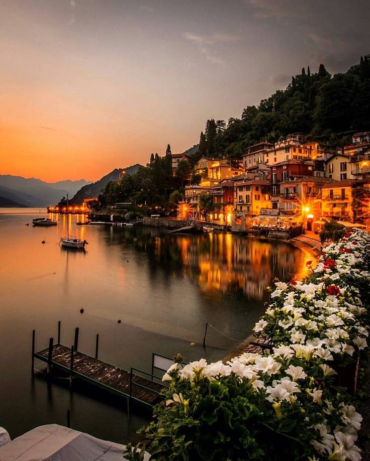 an image of a beautiful sunset over the water with boats and flowers in front of it