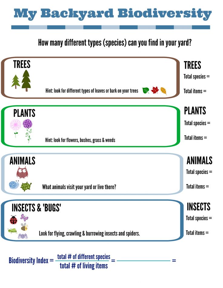 a poster describing the different types of plants