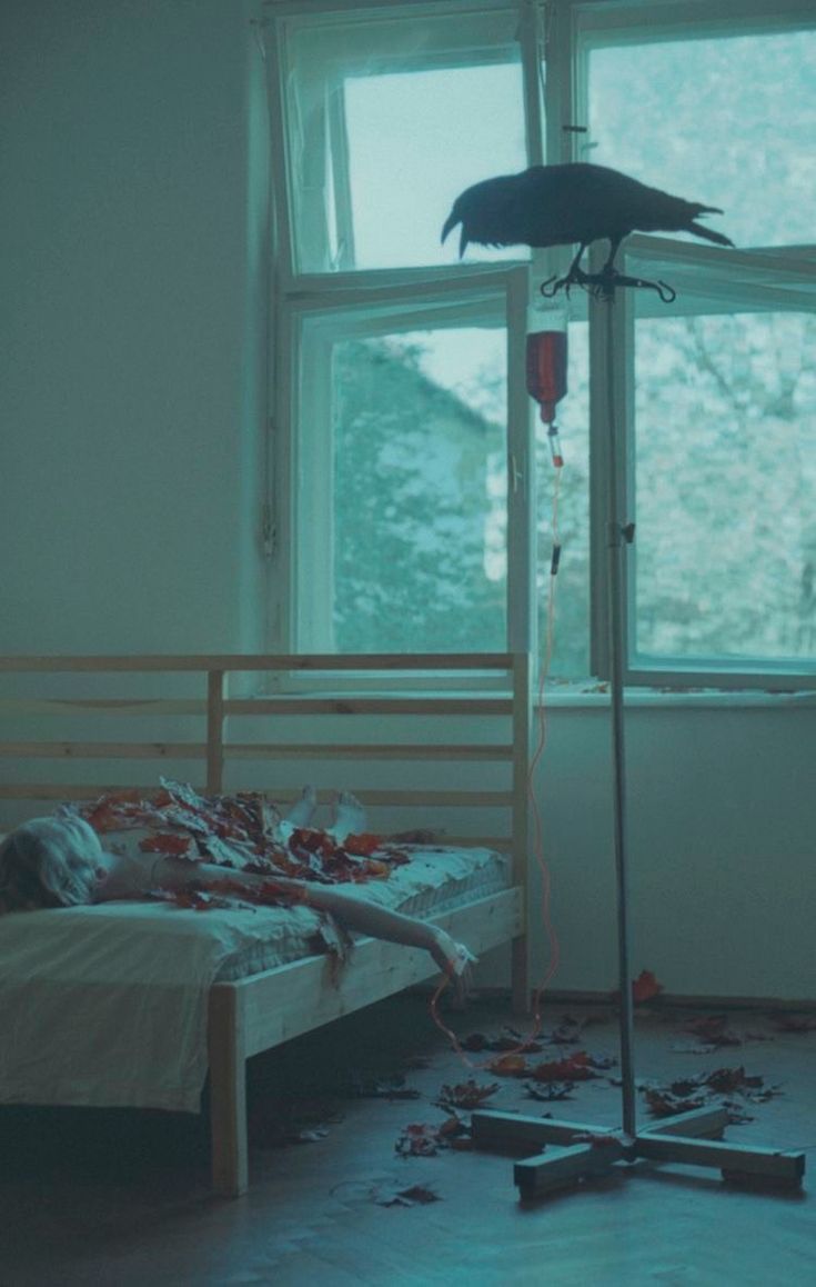 a bird sitting on top of a bed next to a window in a room filled with debris