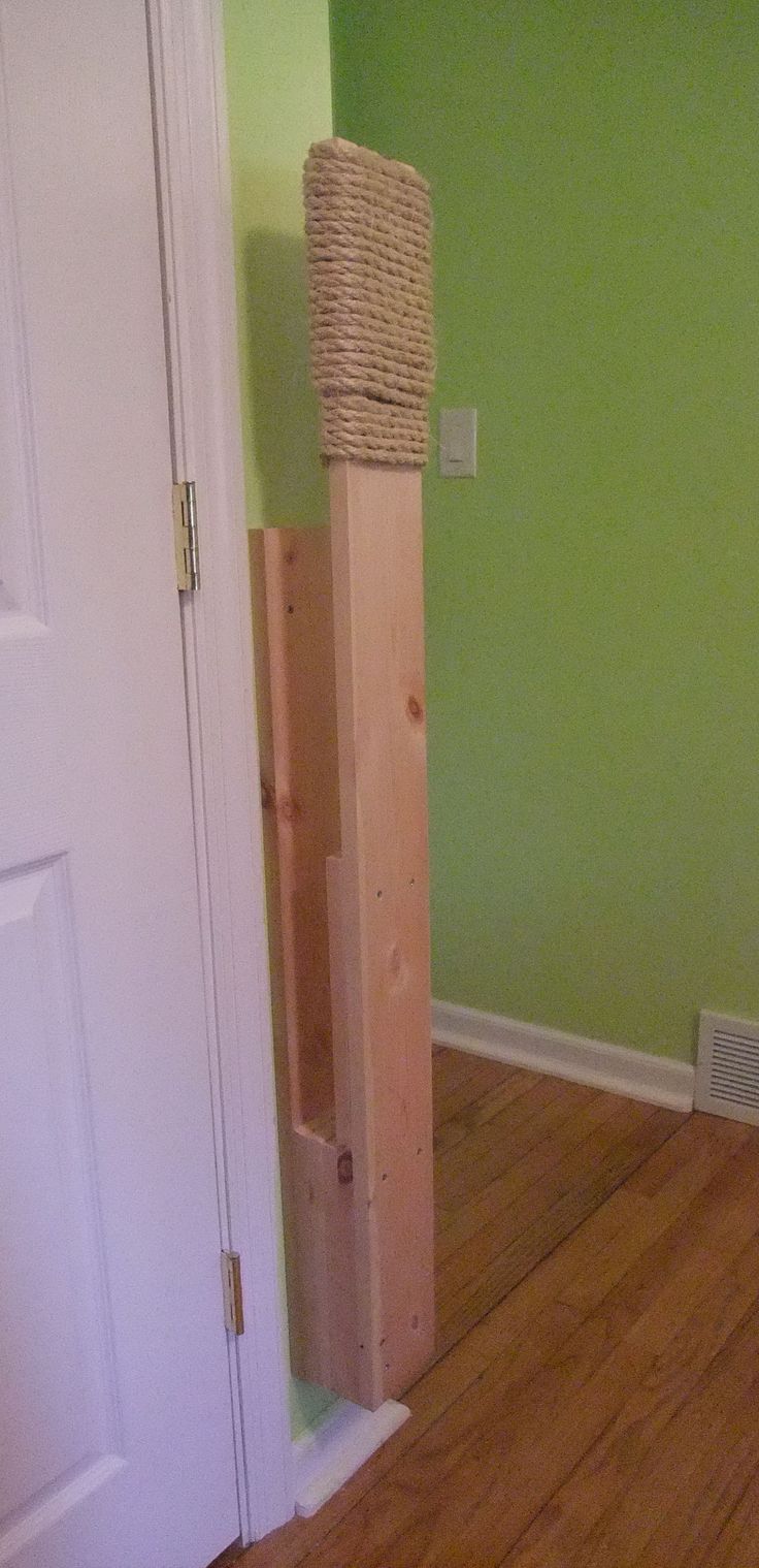 a cat tree in the corner of a room with green walls and wood flooring