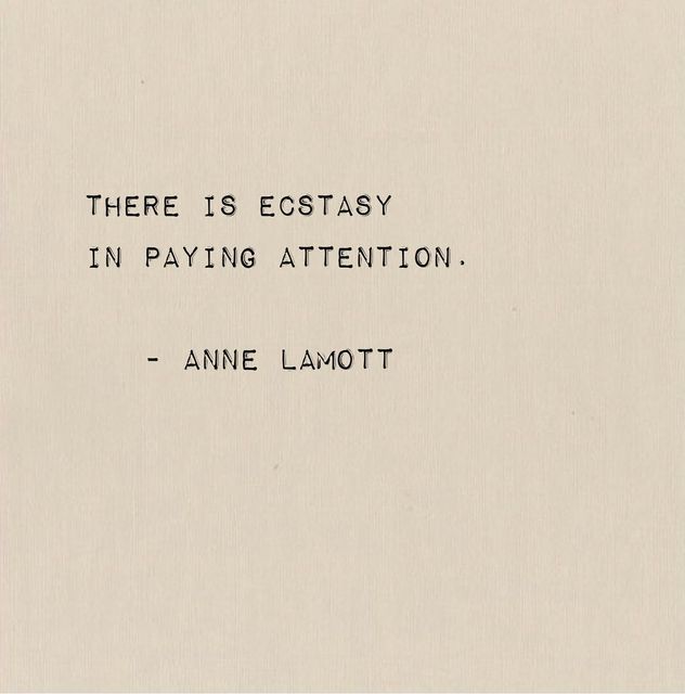 Anne Lammot Quote, Bird By Bird Anne Lamott, Anne Elliot Aesthetic, Anne Lamott Quotes, Work Mindset, Anne Lamott, The Human Mind, Literature Quotes, The Natural World