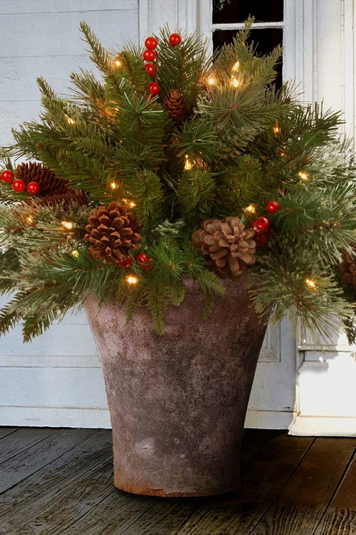 a potted plant with pine cones and red berries on the ground next to a door